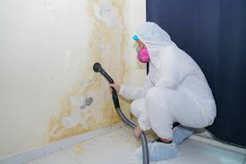 Best Basement Mold Removal  in Covelo, CA